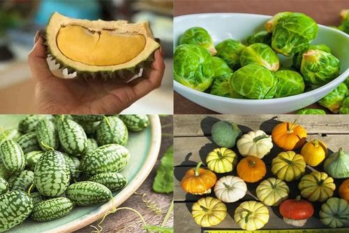 Lạc vào thế giới tí hon với loạt rau củ quả có kích cỡ siêu nhỏ