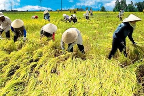 Thông điệp của đối tác tin cậy và có trách nhiệm