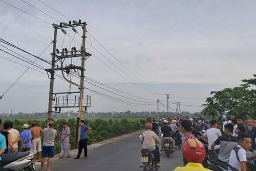 Hải Phòng: Người đàn ông chưa rõ danh tính tử vong trên cột điện cao thế