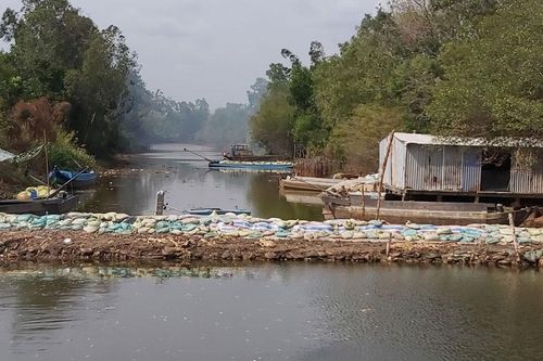 Cà Mau khẩn trương gia cố cống đập, tránh để nước mặn tràn vào vùng ngọt hóa