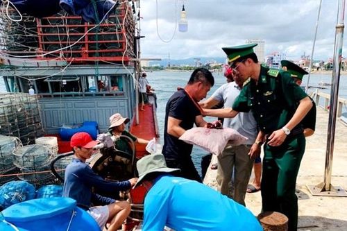 Cứu thuyền viên bị nạn trên biển