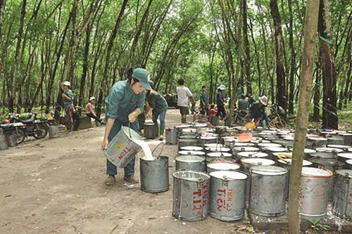 Chứng khoán 29/9: Nhóm săm lốp 'dậy sóng' nhờ thông tin M&A từ Vinachem