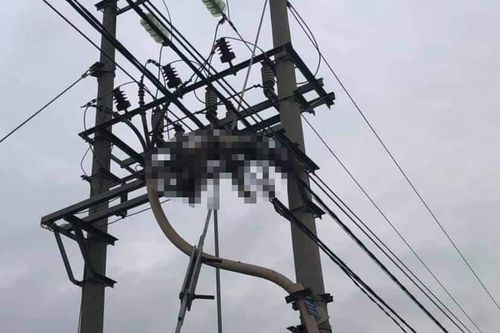 Người đàn ông trung niên tử vong trên cột điện cao thế ở Hải Phòng