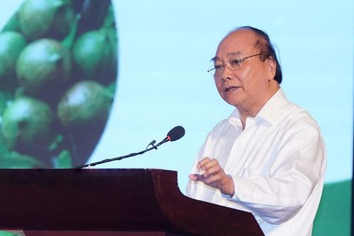 Thủ tướng: Cần 10 hay 20 năm để mắc ca Việt Nam đứng đầu thế giới