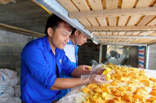 Hàng trăm bạn trẻ Nghệ An được giao lưu, chia sẻ kinh nghiệm về khởi nghiệp