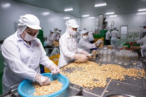 Hút doanh nghiệp chế biến sâu để nông sản 'cất cánh'