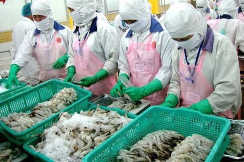Xuất khẩu thủy sản sang EU tăng nhẹ sau 1 tháng EVFTA có hiệu lực