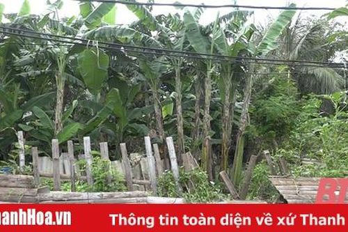 UBND huyện Quảng Xương trả lời nội dung liên quan đến MBQH 993 xã Quảng Bình