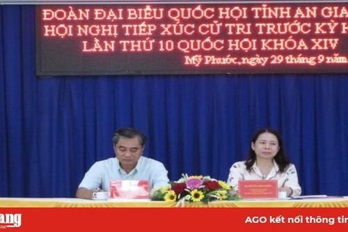 Bí thư Tỉnh ủy Võ Thị Ánh Xuân tiếp xúc cử tri trước kỳ họp lần thứ 10, Quốc hội khóa XIV