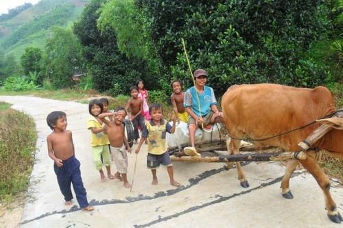 Không tảo hôn để đời sống bớt khổ
