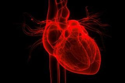Tạo lập thành công bản đồ chi tiết tim người - chìa khóa vàng điều trị bệnh tim mạch