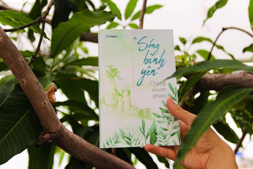 Tìm bình yên giữa cuộc sống áp lực