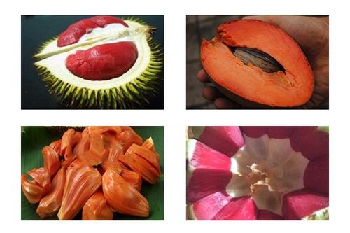 Lạ mắt những loại quả ruột đỏ khiến chị em phát sốt