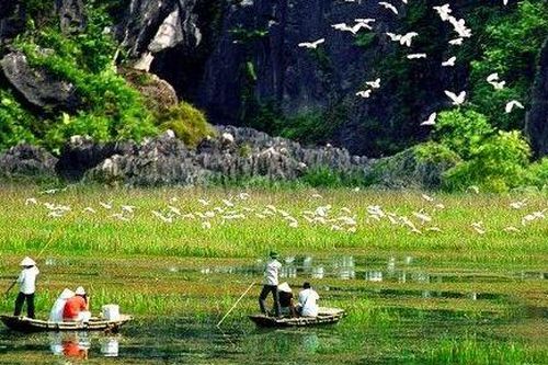 Bộ trưởng Trần Hồng Hà: Việt Nam cần phải coi đa dạng sinh học là một vấn đề đạo đức