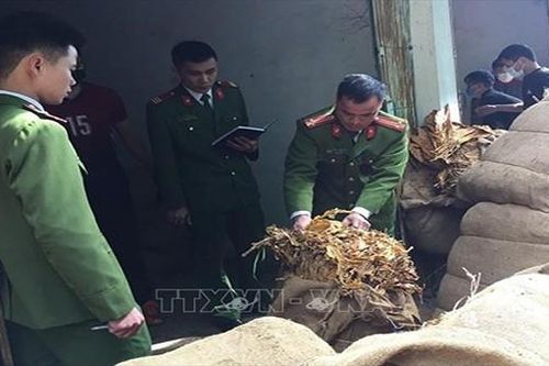 Cao Bằng thu giữ hơn 18 tấn thuốc lá nhập lậu