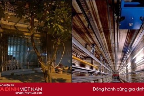 Hà Nội: Chủ thầu bị ròng rọc thang máy thắt trúng cổ, tử vong tại chỗ
