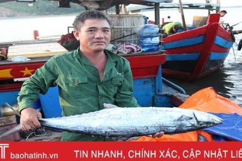 Kinh tế Thủy sản Hà Tĩnh phát triển khá, tổng sản lượng 9 tháng đạt 43.267 tấn