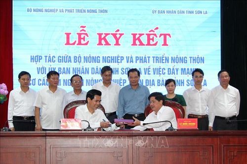 Thúc đẩy cơ cấu lại nông nghiệp các tỉnh Trung du và miền núi Bắc Bộ