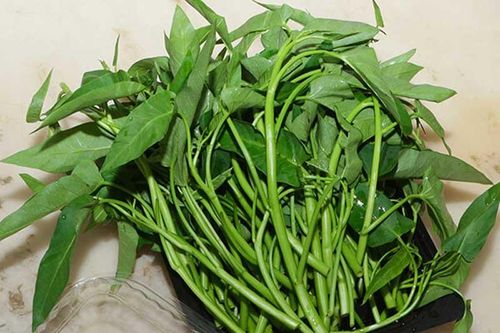 Tác hại đáng sợ của rau muống bạn phải tuyệt đối tránh xa kẻo rước cả 'rổ' bệnh vào người