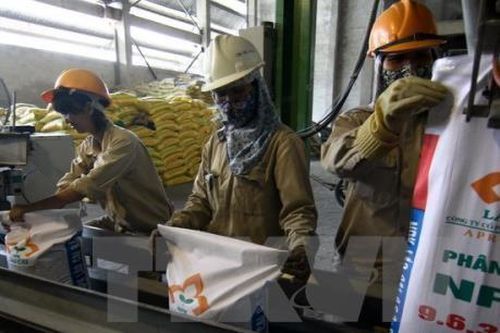 Kiểm toán nghi ngờ khả năng hoạt động liên tục của công ty thành viên Vinachem