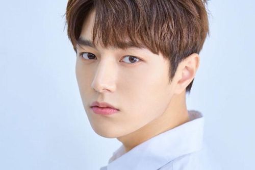 12 thần tượng K-Pop sở hữu nghệ danh độc đáo, 'thách thức' các công cụ tìm kiếm