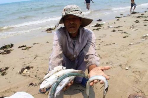 'Việt Nam cần phải coi đa dạng sinh học là một vấn đề đạo đức'