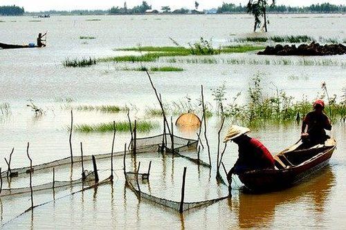 Miền Tây thiếu lũ…
