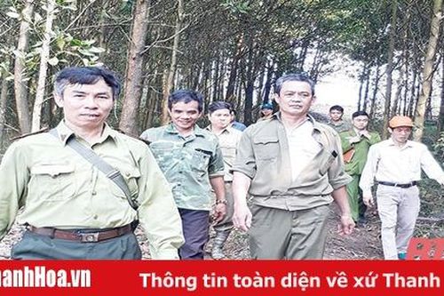 Huyện Cẩm Thủy chủ động bảo vệ và phát triển rừng