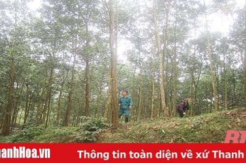 Bảo vệ và phát triển rừng bền vững tại Ban Quản lý rừng phòng hộ Như Thanh