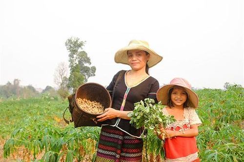 Hợp tác và sử dụng hiệu quả nguồn viện trợ phi chính phủ nước ngoài