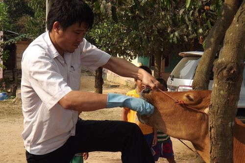 Tuyên truyền, phổ biến Luật Chăn nuôi và các văn bản hướng dẫn thi hành luật