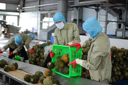 Thái Lan ra quy định giám sát dư lượng thuốc bảo vệ thực vật với nông sản tươi