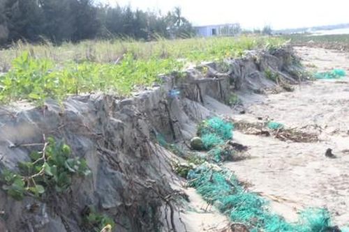 Quảng Nam: Bờ biển xã Duy Hải sạt lở sau cơn bão số 5