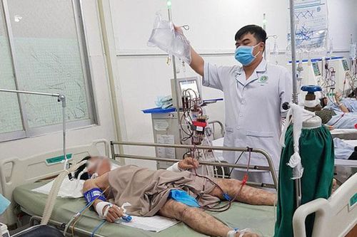 Cảnh giác với các loại hải sản có chứa độc tố