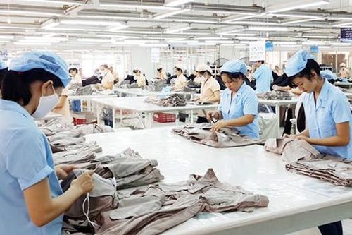 Kinh tế Việt Nam dần hồi phục