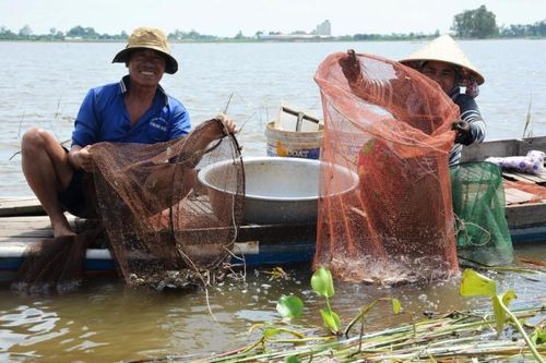 Miền Tây vắng lũ