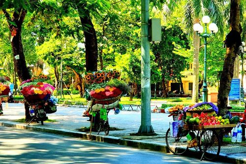 Gặp những sắc màu lãng mạn này chẳng ai có thể quên mùa thu Hà Nội