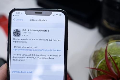 Apple phát hành iOS 14.2 beta 2 với nhiều biểu tượng cảm xúc mới
