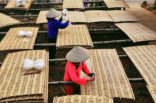 Giám đốc Sở NN&PTNT tỉnh Yên Bái: Tái cơ cấu ngành nông nghiệp gắn với xây dựng nông thôn mới
