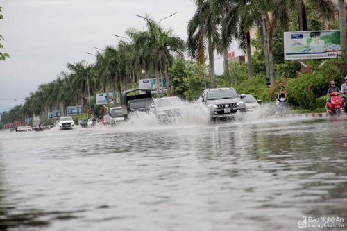 Thành phố Vinh họp bàn, tìm phương án chống ngập úng