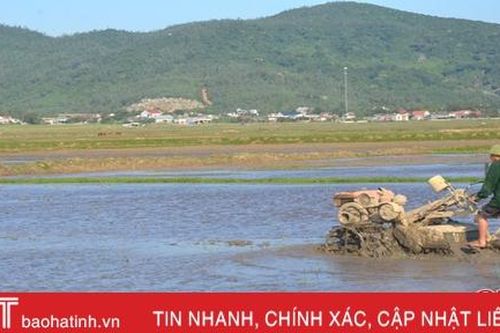 Huyện Kỳ Anh xây dựng 21 mô hình ô thửa lớn trong vụ xuân 2021