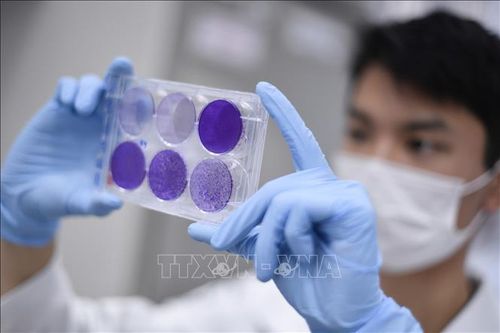 Liên minh vaccine kêu gọi các nước tham gia cơ chế COVAX