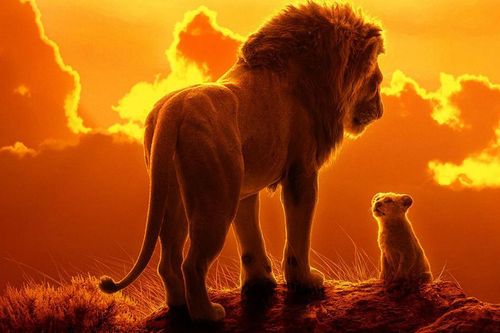 Quyết tâm giành tượng vàng, Disney mời đạo diễn 'Moonlight' làm phần 2 'The Lion King'