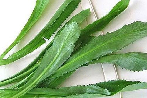 Mẹo chữa cúm hiệu quả bằng mùi tàu