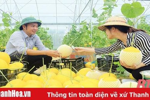 Bài 1: 'Luồng gió mới' phát triển sản xuất nông nghiệp