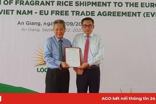 Nâng uy tín gạo Việt trên thị trường quốc tế