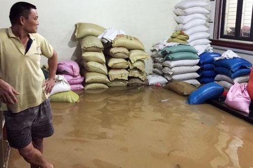 Mưa lũ gây thiệt hại tại thành phố Lào Cai