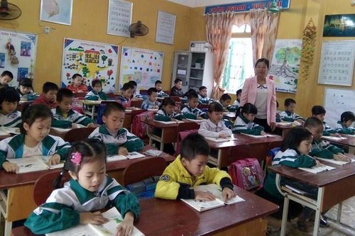 Sáp nhập trường học phải hướng đến thuận lợi cho học sinh