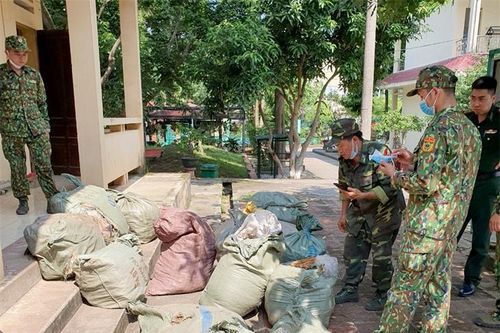 Dược liệu nhập lậu qua biên giới 'nóng' trở lại