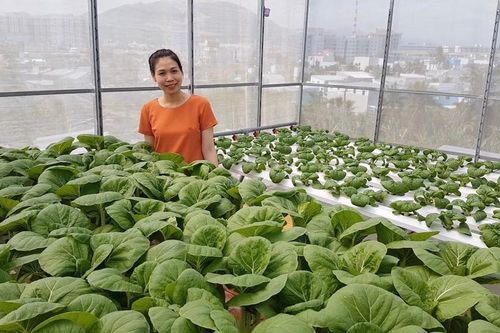 Gia đình trẻ biến sân thượng trống thành 'khu vườn trên mây'
